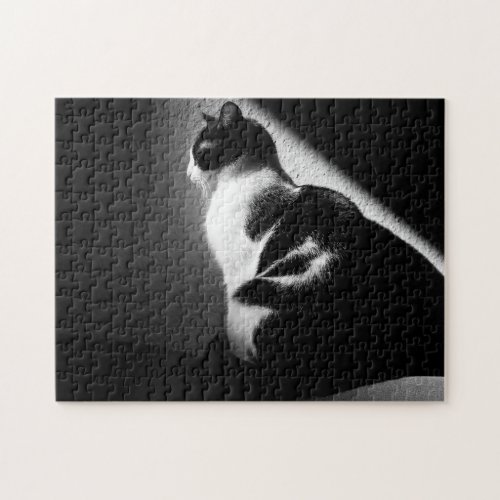 Black and White Cat Portrait Jigsaw Puzzle