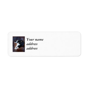 Black and White Cat Portrait Label