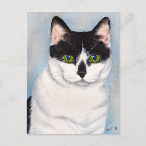Black and White Cat Portrait Postcard