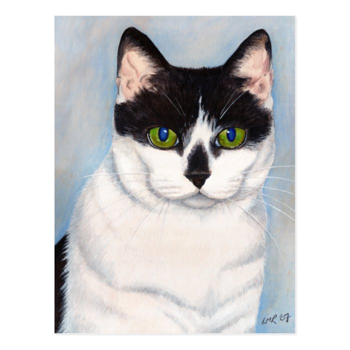 Black and White Cat Portrait Postcard 