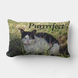 Black And White Cat Purrrrfect, Lumbar Pillow