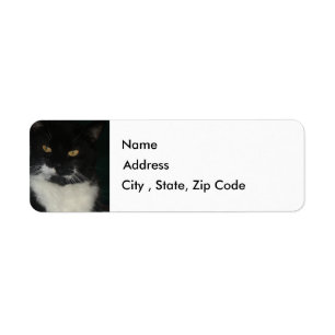 Black and White Cat Return Address Label