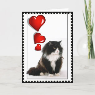 Black and white cat valentine holiday card