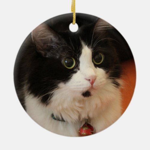 Black and White Cat with Round Eyes Ceramic Ornament