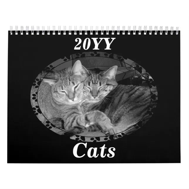 Black And White Cats Calendar Zazzle