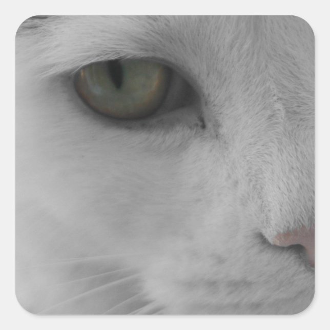 Black and white cats face square sticker (Front)