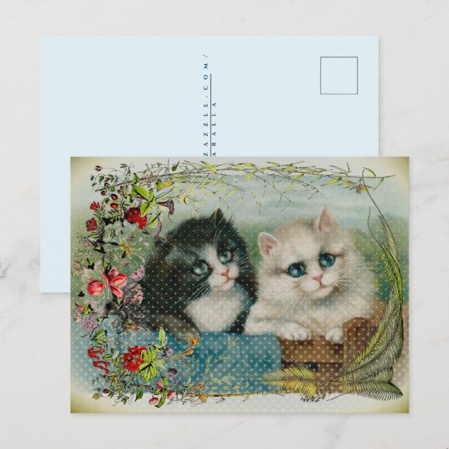 Black and White Cats Floral Border Holiday Postcard (Front/Back)
