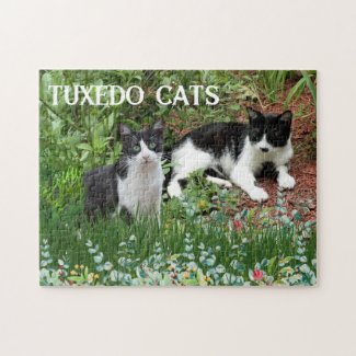 Black and White Cats in Flower Garden 