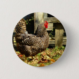 Black and white Chicken Button