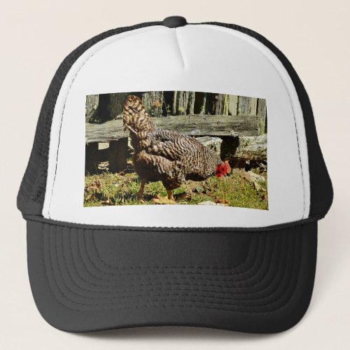 Black and white Chicken by fence Trucker Hat