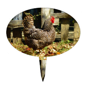 Chicken Cake Toppers Zazzle