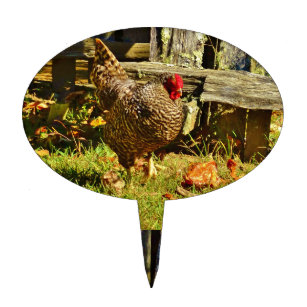 Chicken Cake Toppers Zazzle