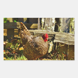 Black and white Chicken in farmyard Rectangular Sticker