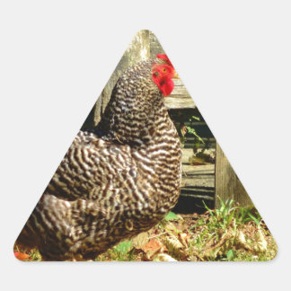 Black and white Chicken Triangle Sticker