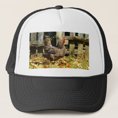 Black and white Chicken Trucker Hat