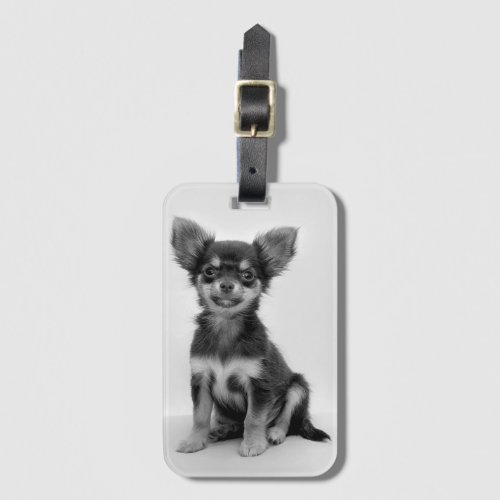 Black and White Chihuahua Puppy Photo Luggage Tag