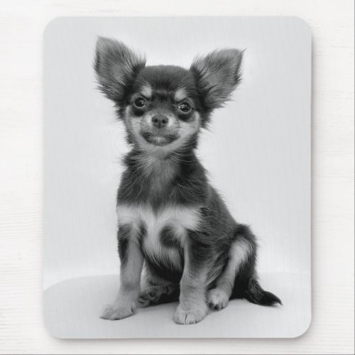 Black and White Chihuahua Puppy Photo Mouse Pad