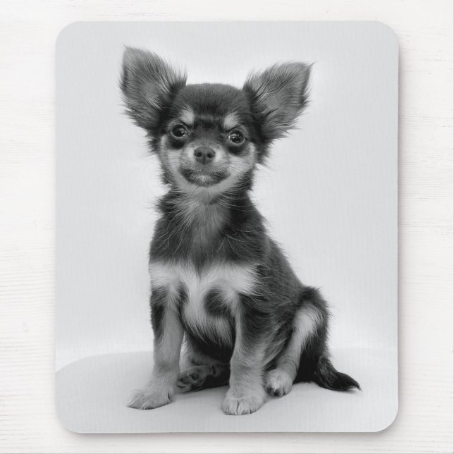 Black and White Chihuahua Puppy Photo Mouse Pad (Front)