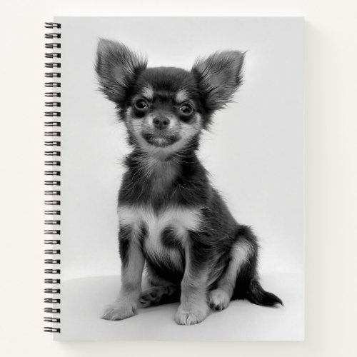 Black and White Chihuahua Puppy Photo Notebook