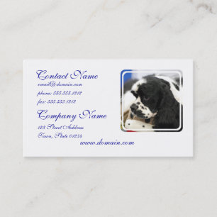 Black and White Cocker Spaniel Business Cards