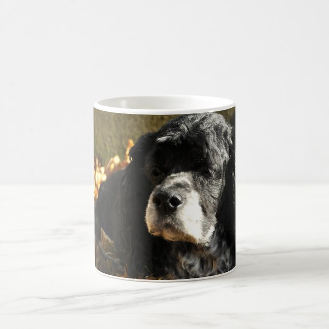Black and White Cocker Spaniel Photo Coffee Mug (Center)