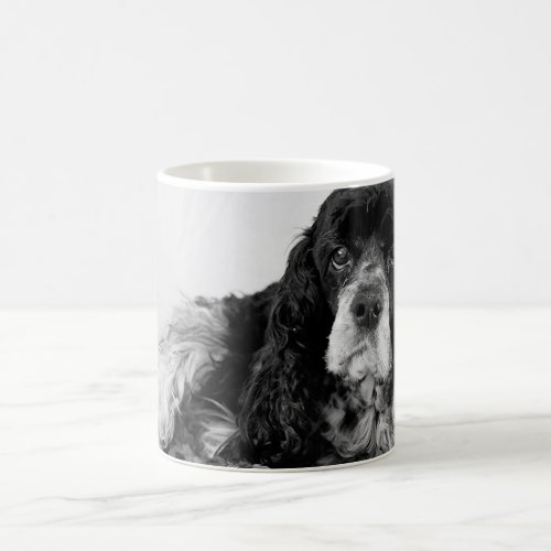 Black and White Cocker Spaniel Photo Coffee Mug