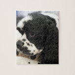 Black and White Cocker Spaniel Puzzle
