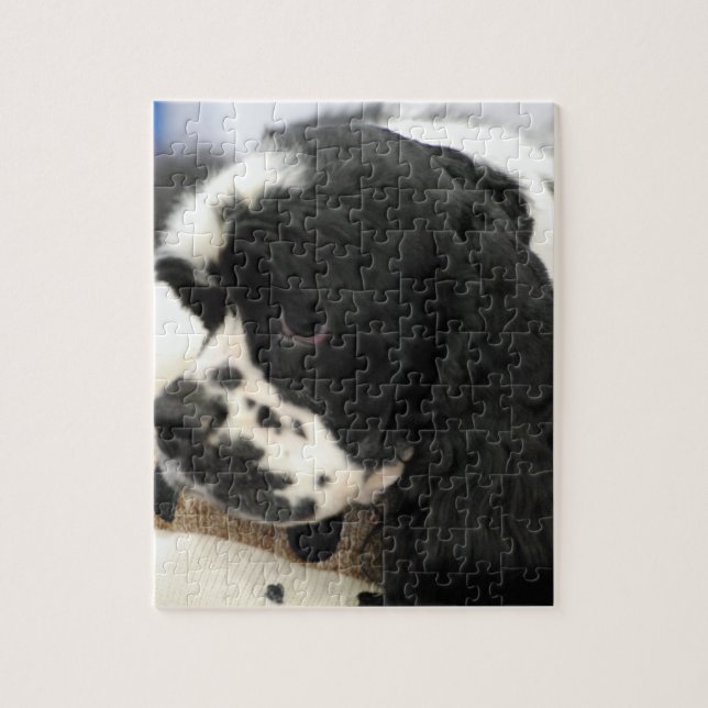 Black and White Cocker Spaniel Puzzle (Vertical)