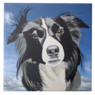 Black and White Collie   Ceramic Tile
