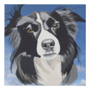 Black and White Collie  Faux Canvas Print