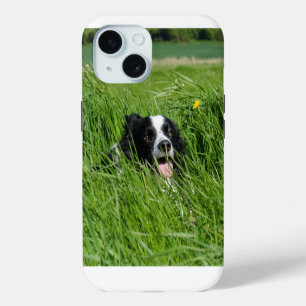 Black and White Collie in Grass iPhone 15 Case