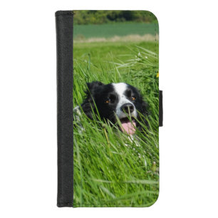 Black and White Collie in Grass iPhone 8/7 Wallet Case