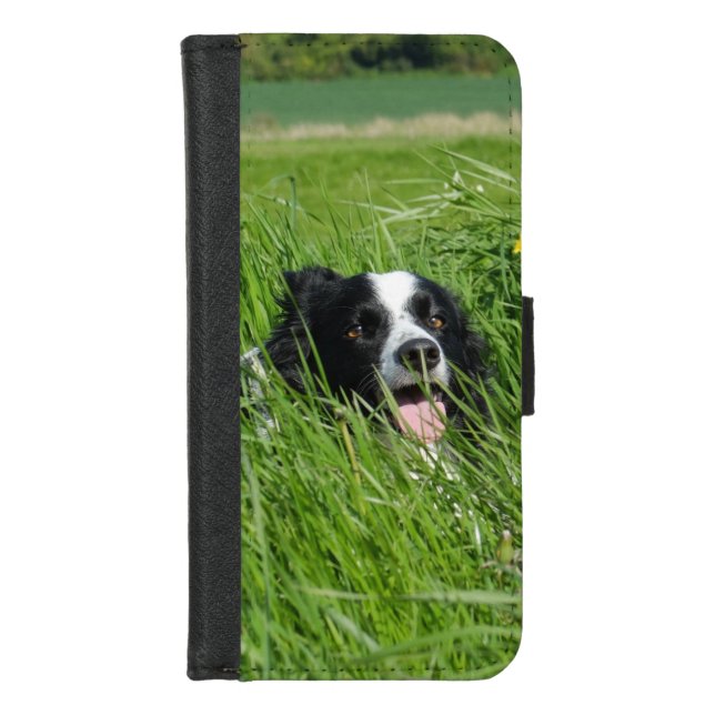 Black and White Collie in Grass iPhone Wallet Case (Front)