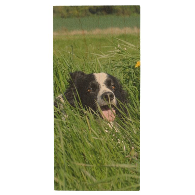Black and White Collie in Grass Wood Flash Drive (Front Vertical)