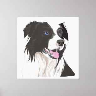 Black and White Collie with Blue Eyes Portrait. Canvas Print