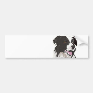 Black and White Collie with Brown eyes Bumper Stic Bumper Sticker