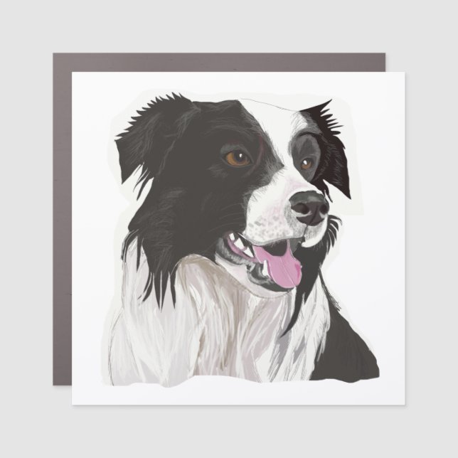 Black and White Collie with Brown eyes  Car Magnet (Front)