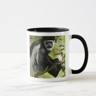 Black and White Colobus Monkey Mug