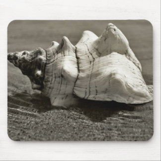 Black and White Conch Shell Mouse Pad