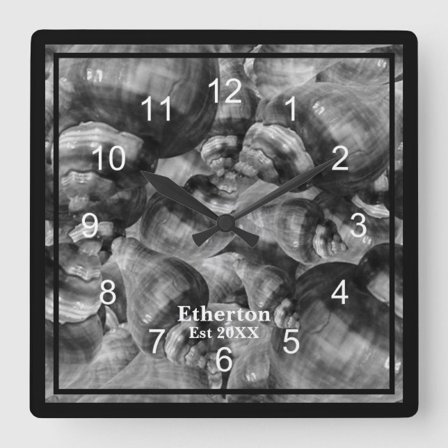 Black and White Conch Shells Clock (Front)