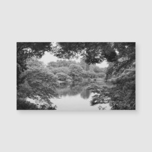 Black and white, cool, unique nature and lake