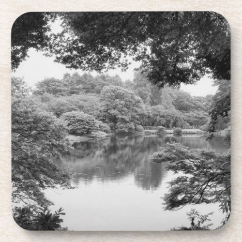 Black and white cool unique nature and lake beverage coaster