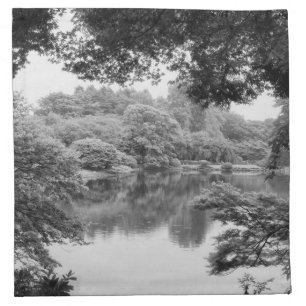 Black and white, cool, unique nature and lake napkin