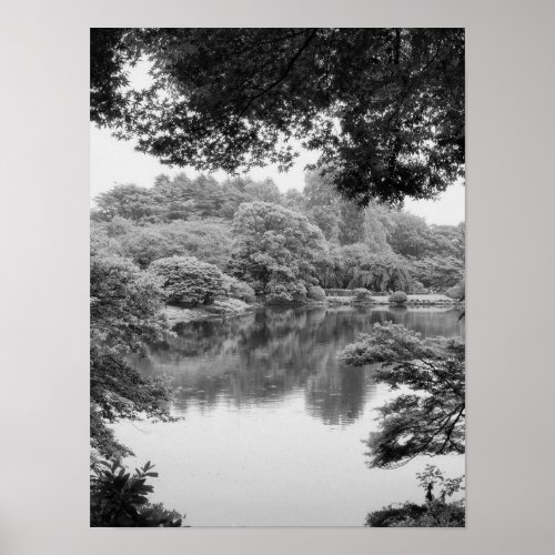 Black and white cool unique nature and lake poster