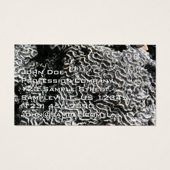 Black and White Coral I Abstract Nature Photo (Front)