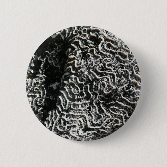 Black and White Coral I Abstract Nature Photo Button (Front)