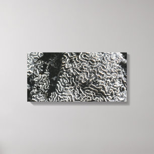 Black and White Coral I Abstract Nature Photo Canvas Print