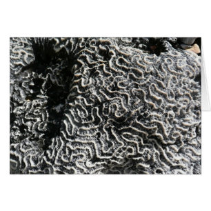 Black and White Coral I Abstract Nature Photo Cards