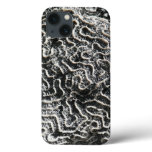 Black and White Coral I Abstract Nature Photo iPhone 13 Case