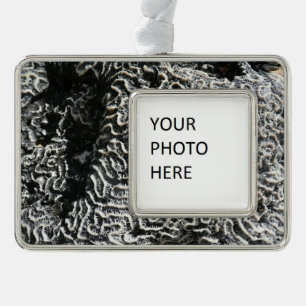 Black and White Coral I Abstract Nature Photo Christmas Ornament
